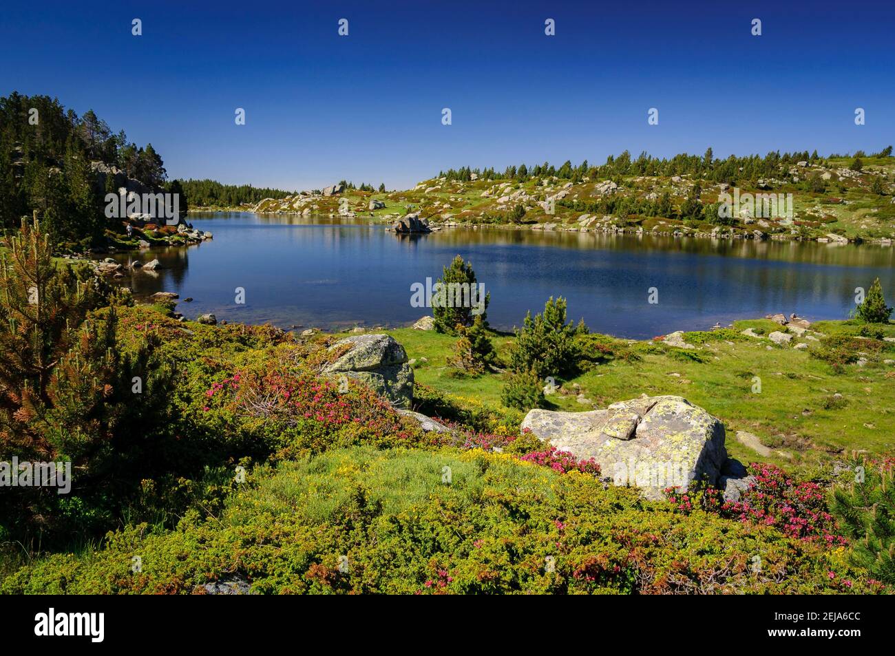 Carlit Lakes, Les Bouillouses, im Sommer (Pyrenees Orientales, Frankreich) ESP: Lagos del Carlit, en las Bullosas, en verano (Pirineos, Francia) Stockfoto