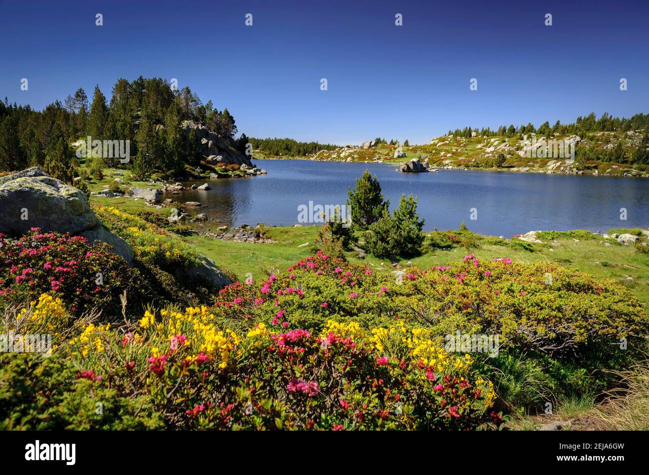 Carlit Lakes, Les Bouillouses, im Sommer (Pyrenees Orientales, Frankreich) ESP: Lagos del Carlit, en las Bullosas, en verano (Pirineos, Francia) Stockfoto