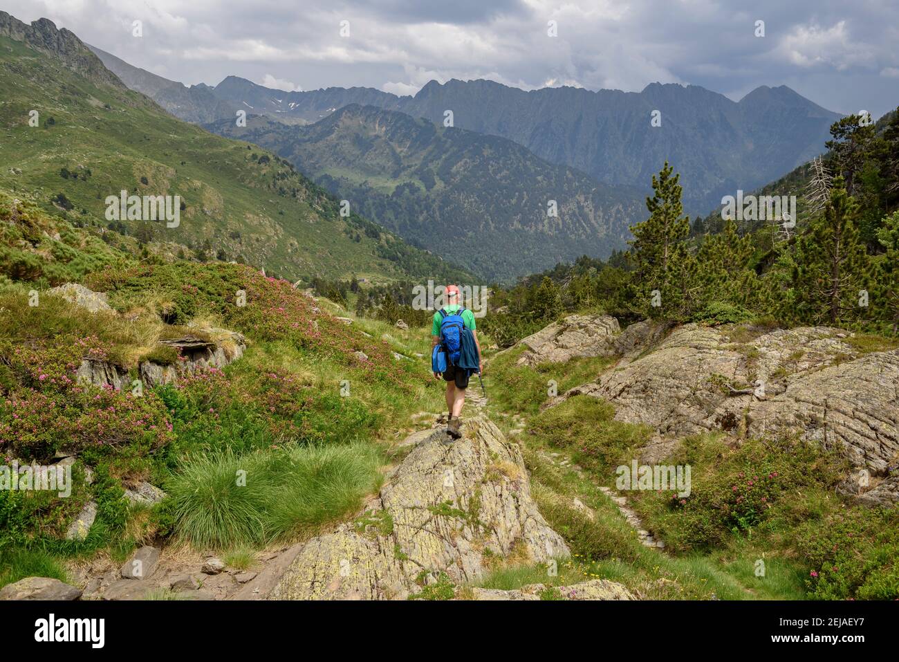 Hinunter durch das Tal mit dem Mont-roig-Gipfel dahinter (Naturpark Alt Pirineu, Katalonien, Spanien, Pyrenäen) Stockfoto