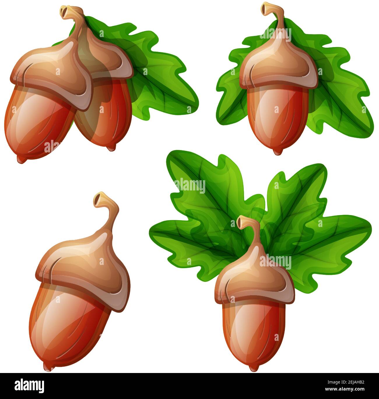 Sammlung von Vektor-Cartoon-Stil flache Eichel mit Blättern. Isoliert auf weißem Hintergrund. Symbol für Glück und Glück. Stock Vektor