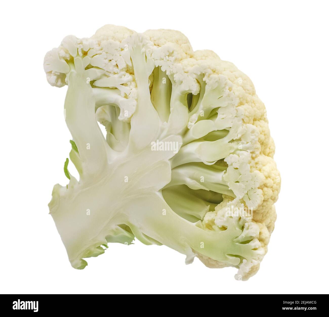 Blumenkohl, isoliert auf weißem Hintergrund Stockfoto