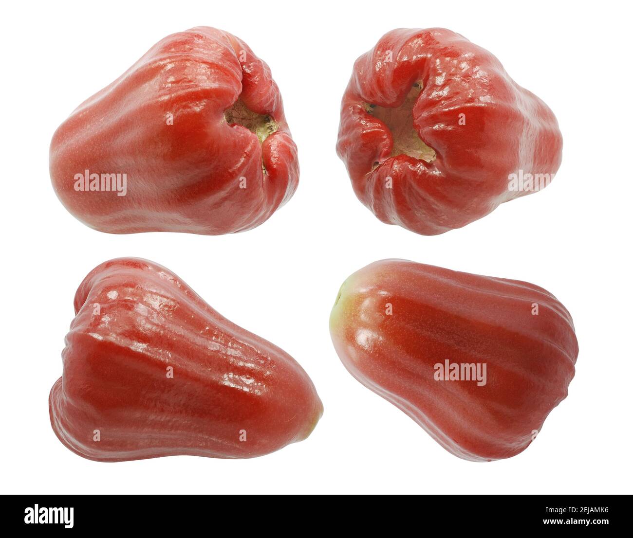 Rosenapfelfrucht (Wasserapfel) isoliert auf weißem Hintergrund Stockfoto