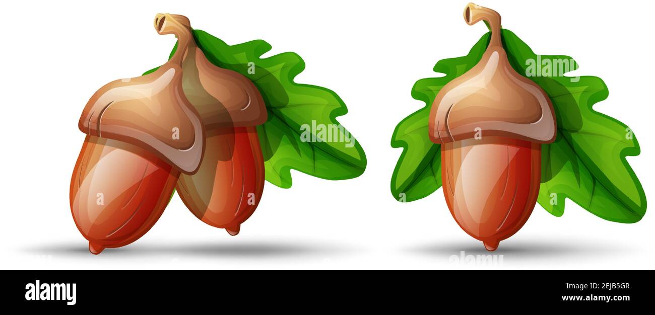 Vektor Cartoon-Stil flache Eichel mit Blättern. Isoliert auf weißem Hintergrund. Symbol für Glück und Glück. Stock Vektor