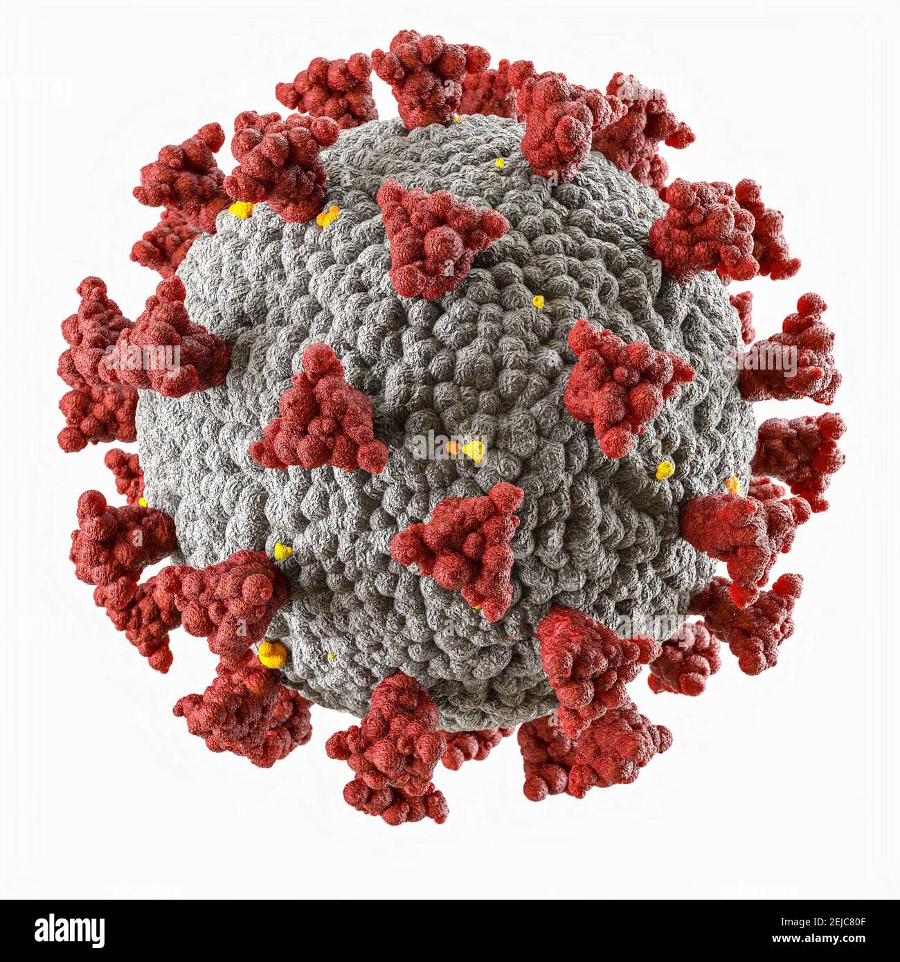3D Modell des Covid-19 Coronavirus. Pandemie- und Infektionskonzept. Stockfoto