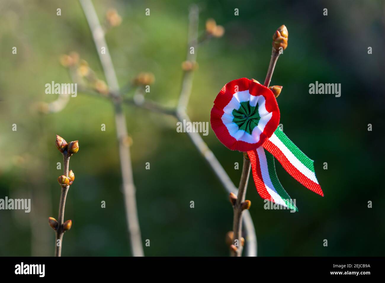 Tricolor Rosette auf Frühlingsbaum mit Knospe Symbol des ungarischen Nationaltages 15th märz . Stockfoto