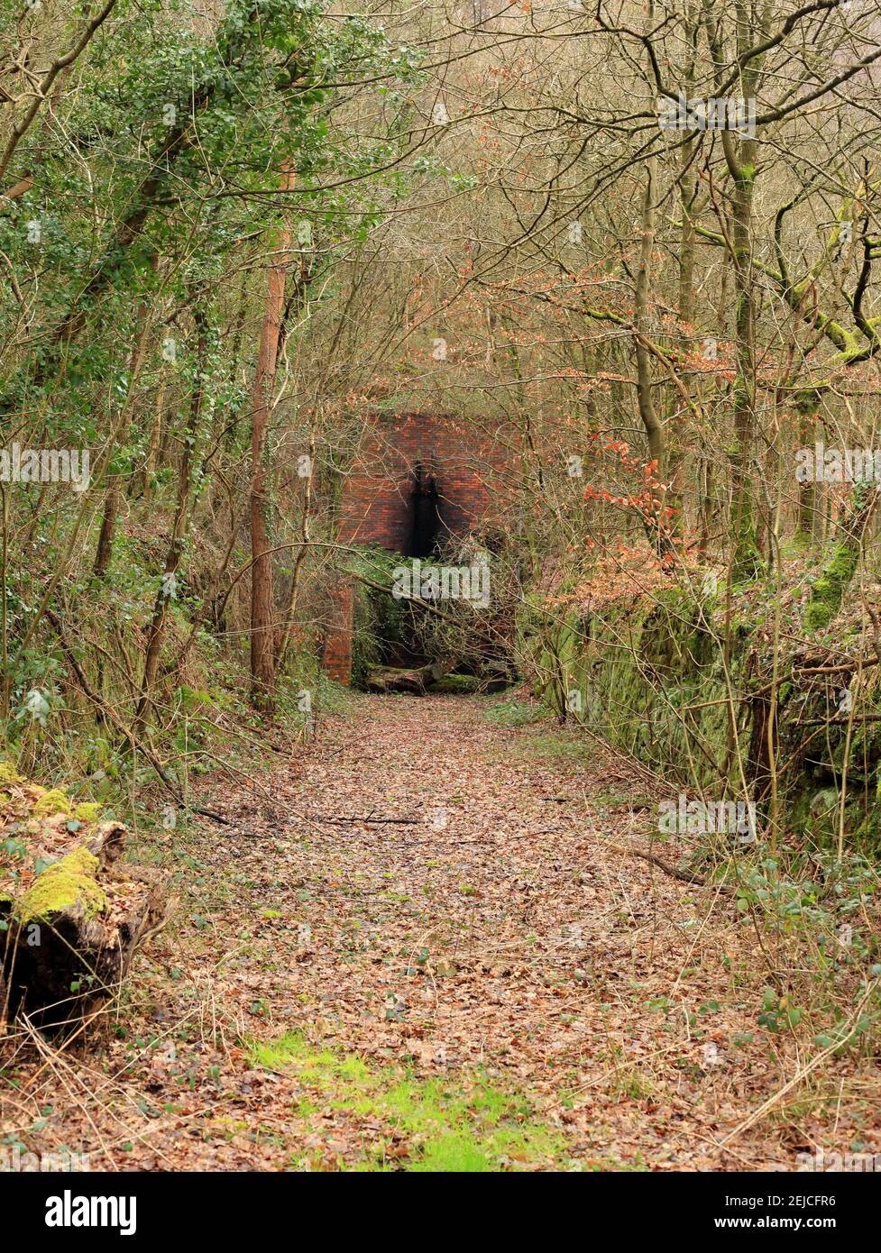 Einer der Eingänge zu Drakelow Tunnels in der Nähe von Kidderminster, Großbritannien. Stockfoto