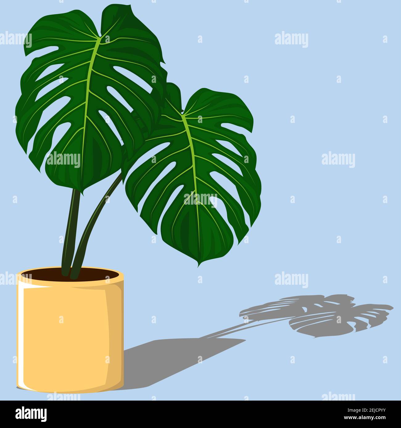 Tropische Zimmerpflanze, Grüne Monstera-punctulata Pflanze Stock Vektor