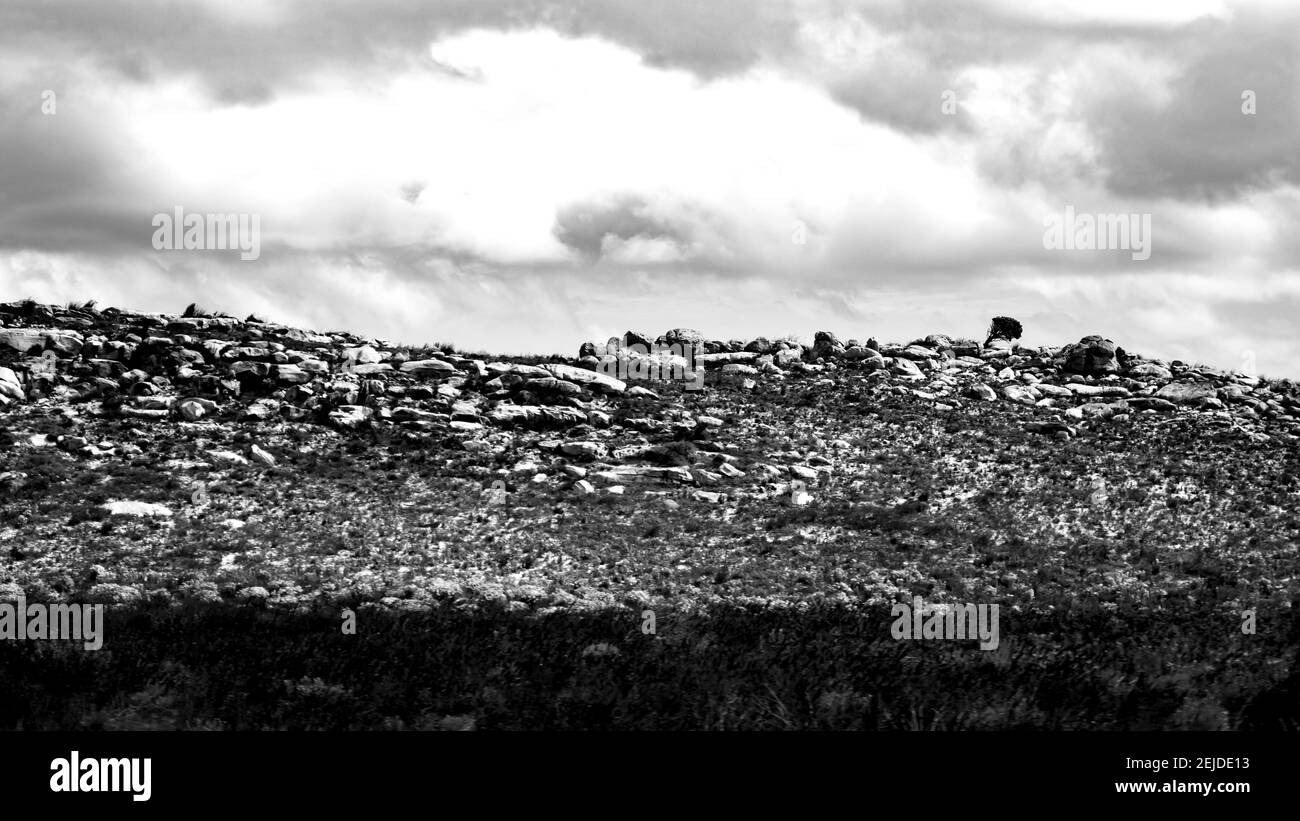 Cape Point- Kapstadt, Südafrika - 19-02-2021 Kreative Schwarz-Weiß-Aufnahme einer atemberaubenden und ruhigen Landschaft entlang der Kap-Halbinsel. Stockfoto