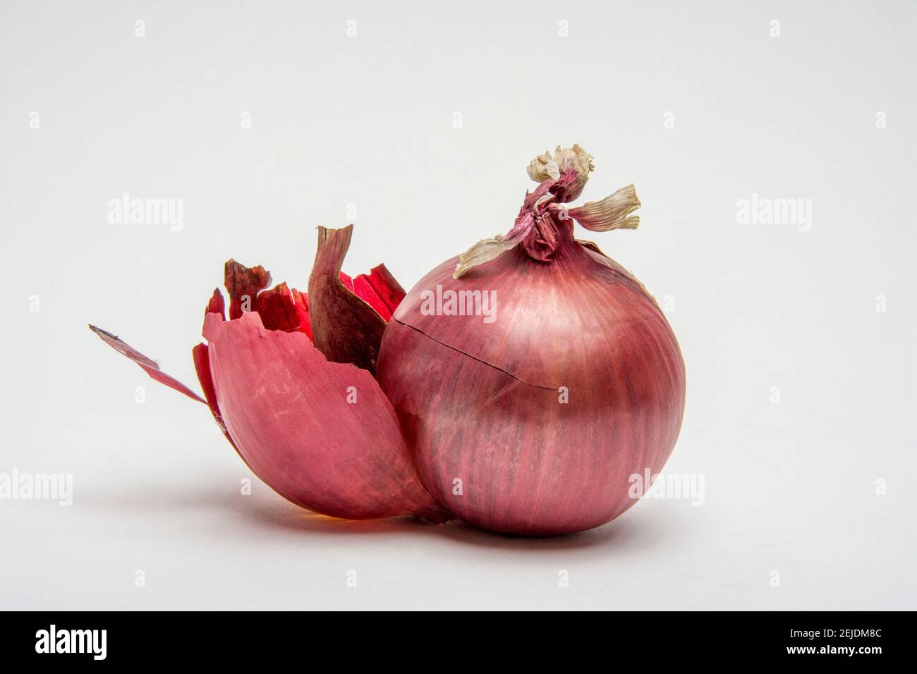 Zwiebeln auf weißem Hintergrund Stockfoto