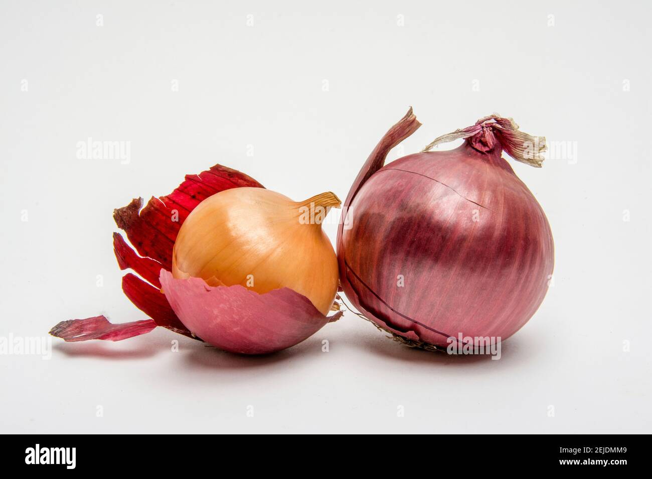 Zwiebeln auf weißem Hintergrund Stockfoto