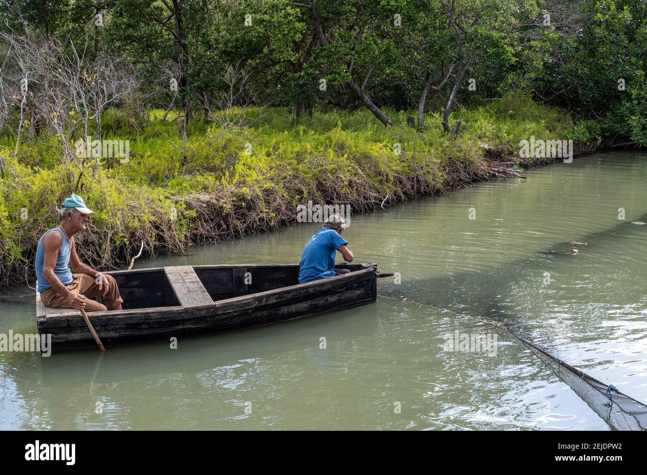 Fischgarnelen in Kuba fangen, Fischer, die eine Falle aufstellen, echte Szene Stockfoto