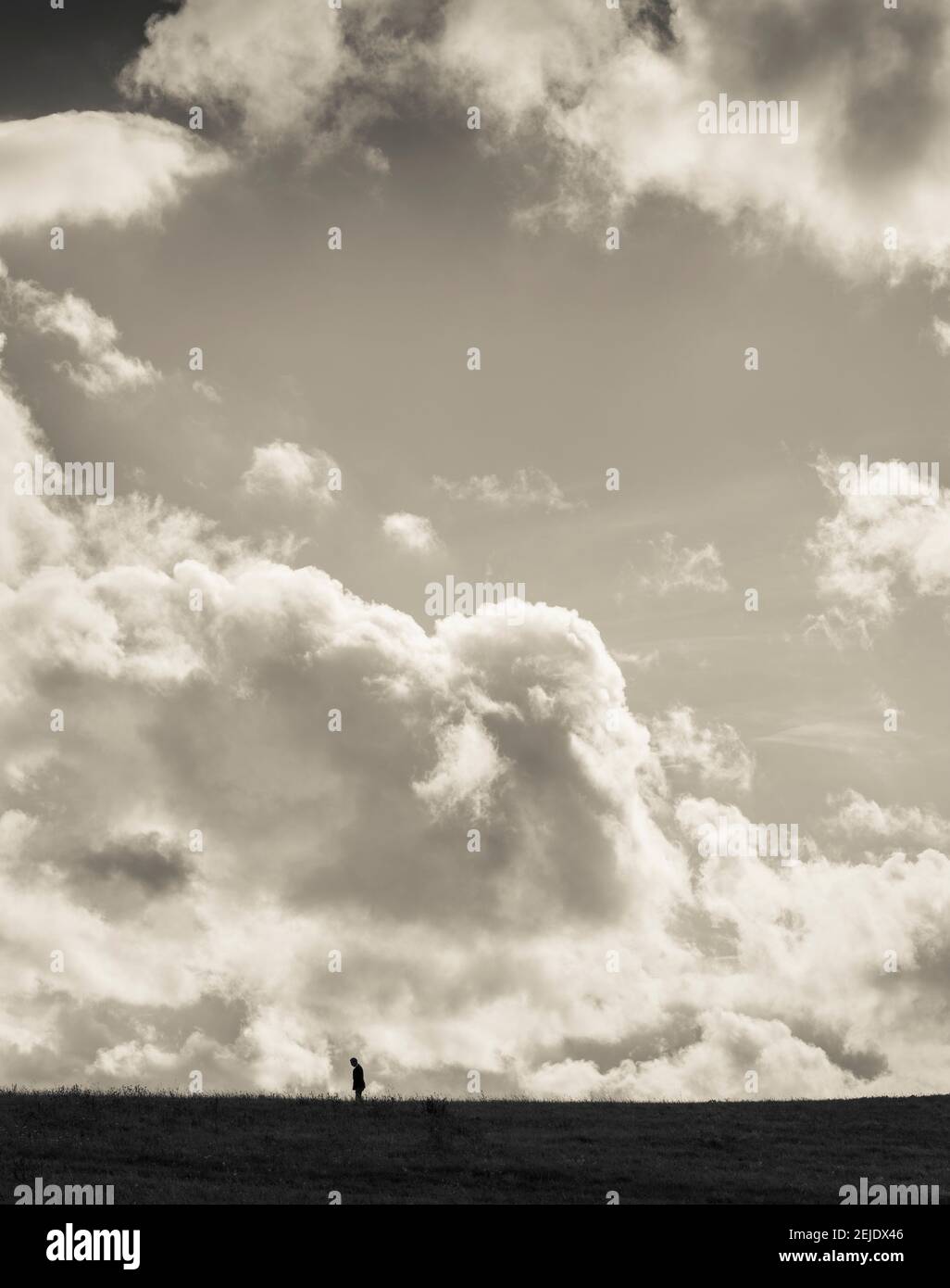 Silhouette eines Mannes, der auf einem Feld steht, Baden-Württemberg, Deutschland Stockfoto