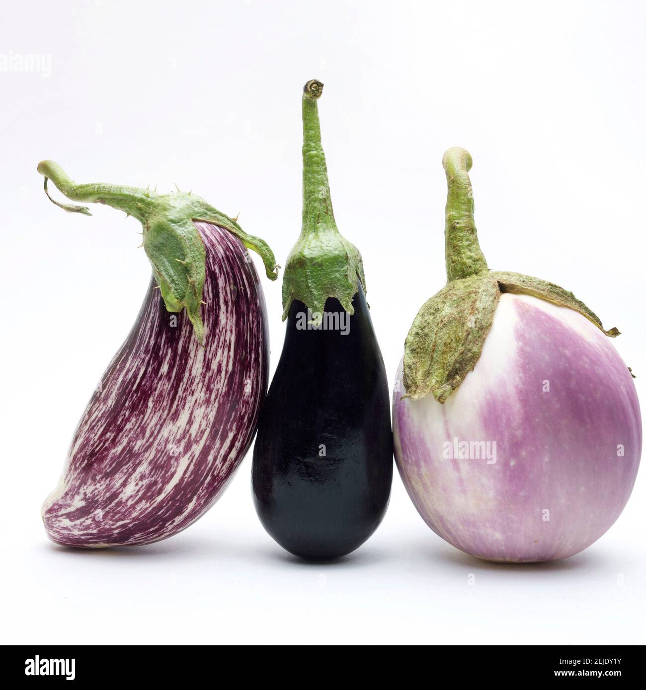 Frische Auberginen-Sorten werden zusammen auf einem schlichten Hintergrund für kulinarische Inspiration und gesunde Kochideen präsentiert Stockfoto