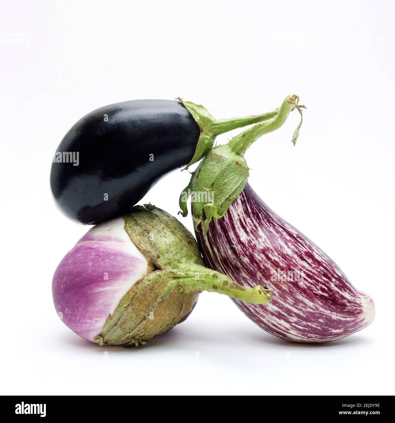 Frische Auberginen-Sorten werden zusammen auf einem schlichten Hintergrund für kulinarische Inspiration und gesunde Kochideen präsentiert Stockfoto