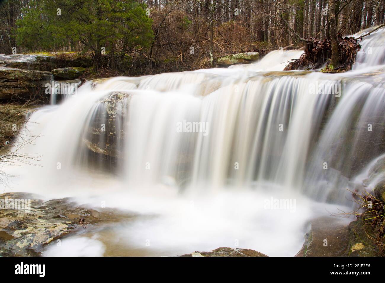 Wasser fällt aus Felsen in einem Wald, Burden Falls, Shawnee National Forest, Pope County, Illinois, USA Stockfoto