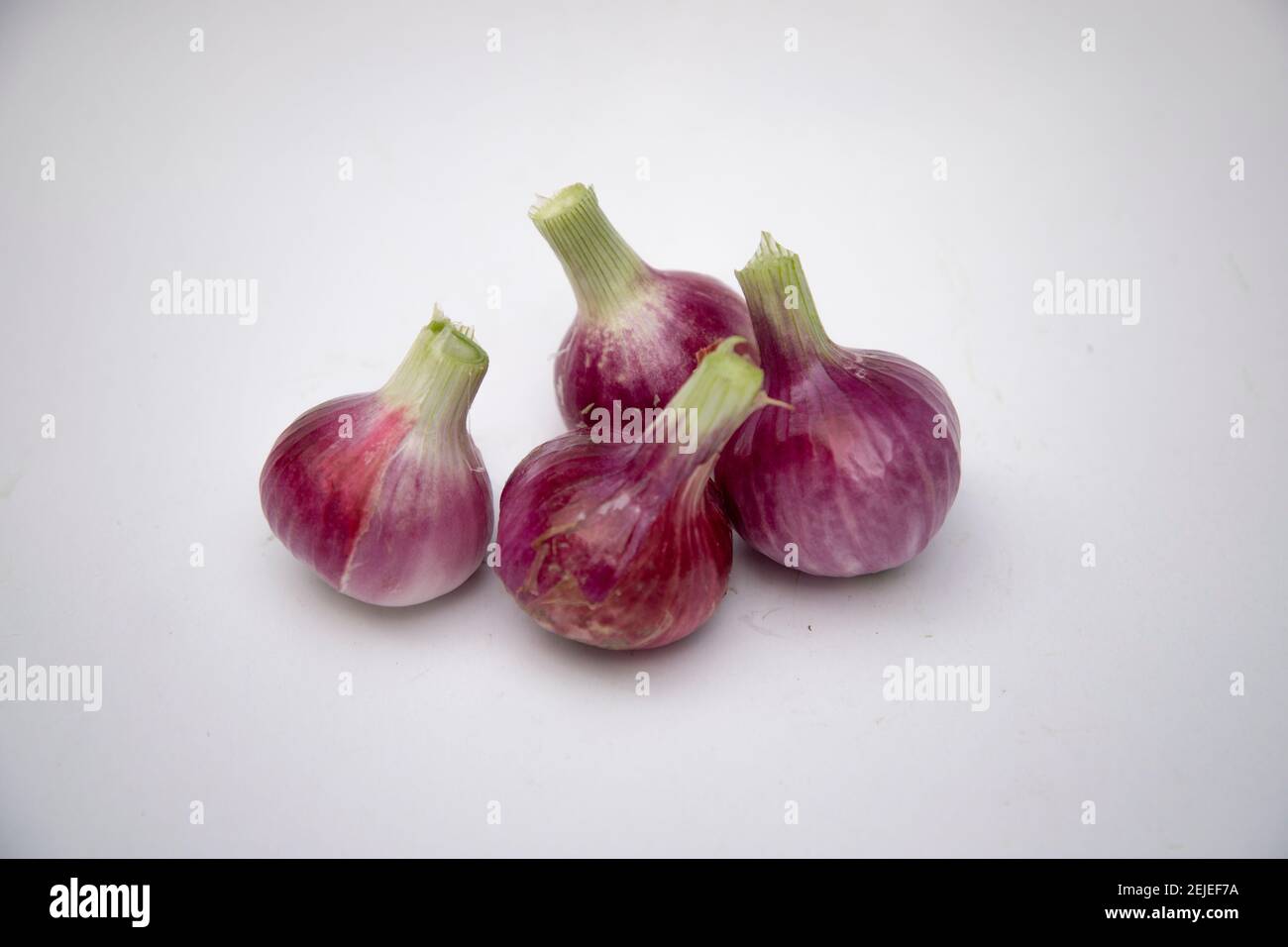 Rote Zwiebel mit weißem Hintergrund, natürliche Bio-Lebensmittel, bangladeschische Zwiebel Stockfoto