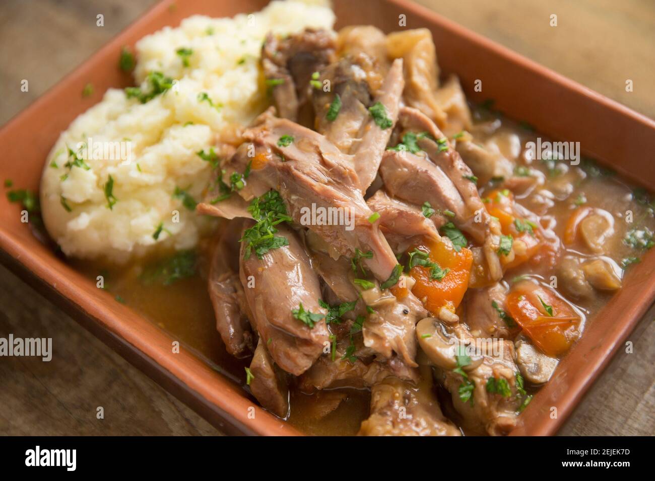 Ein hausgemachter Wildeintopf aus einem wilden Damhirsch, der in einem langsamen Herd mit Knoblauch, Zwiebeln, Karotten, Pilzen und Rinderbrühe geschmort wurde. It Stockfoto