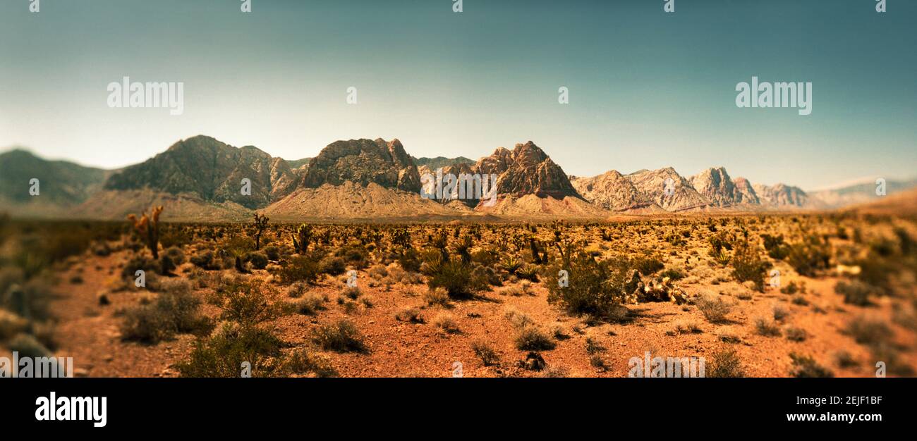 Blick auf das Red Rock Canyon National Conservation Area, in der Nähe von Las Vegas, Clark County, Nevada, USA Stockfoto
