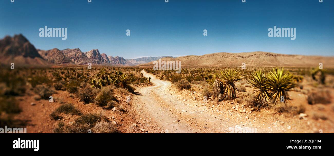 Unbefestigte Straße, die durch das Red Rock Canyon National Conservation Area führt, in der Nähe von Las Vegas, Clark County, Nevada, USA Stockfoto