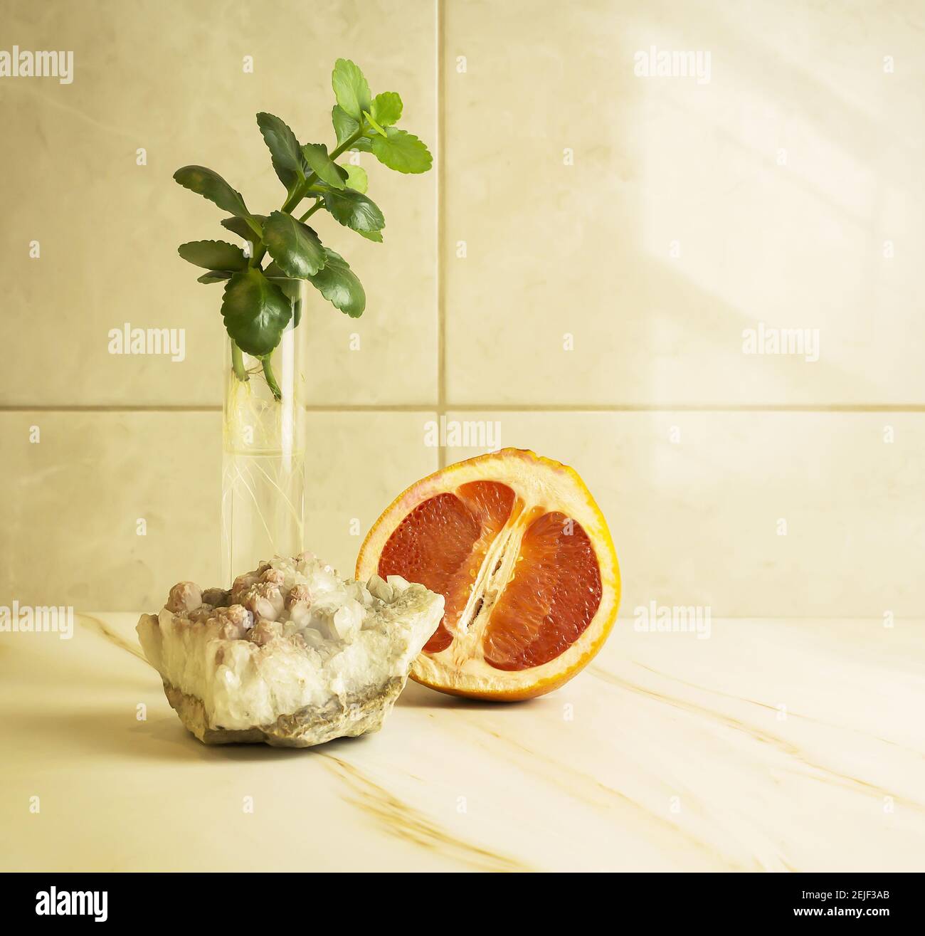 Spa Bad Stillleben mit Mineralstein, eine halbe Grapefruit und ein Zweig von kalanchoe in einem transparenten Glas vor dem Hintergrund einer Wand aus Marmor til Stockfoto