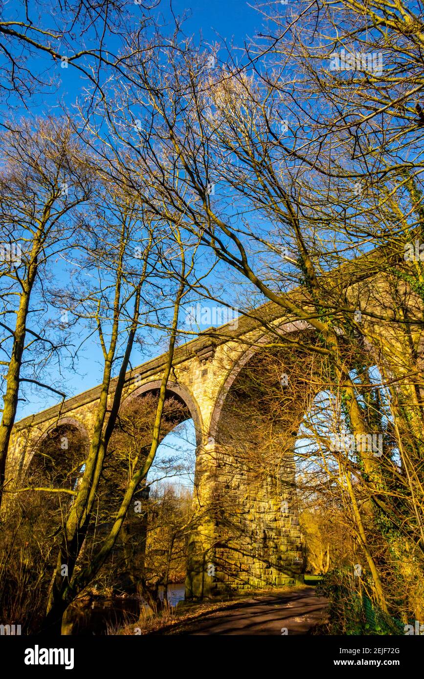 Brücke bei Torr Vale Mill in der Torrs A Schlucht Im Fluss Goyt Valley in New Mills in der High Peak Gebiet des Derbyshire Peak Distrikts Großbritannien Stockfoto