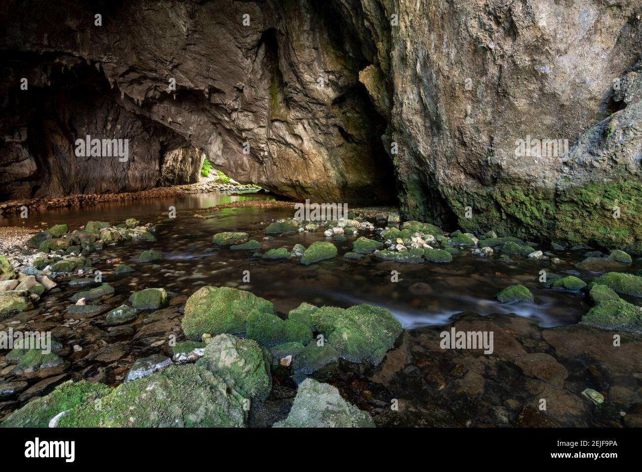 RAK Skocjan Tal, Innerer Krain, Slowenien. Stockfoto