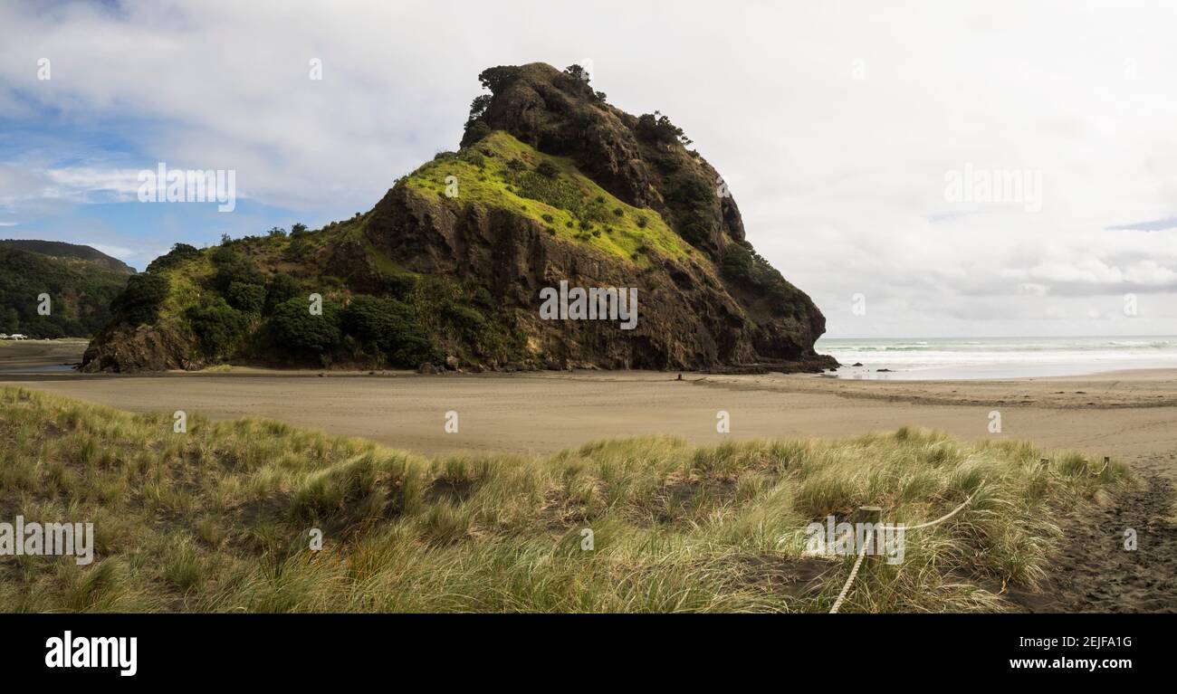Lion Rock am Piha Beach, Waitakere Ranges Regional Park, Auckland Region, Nordinsel, Neuseeland Stockfoto
