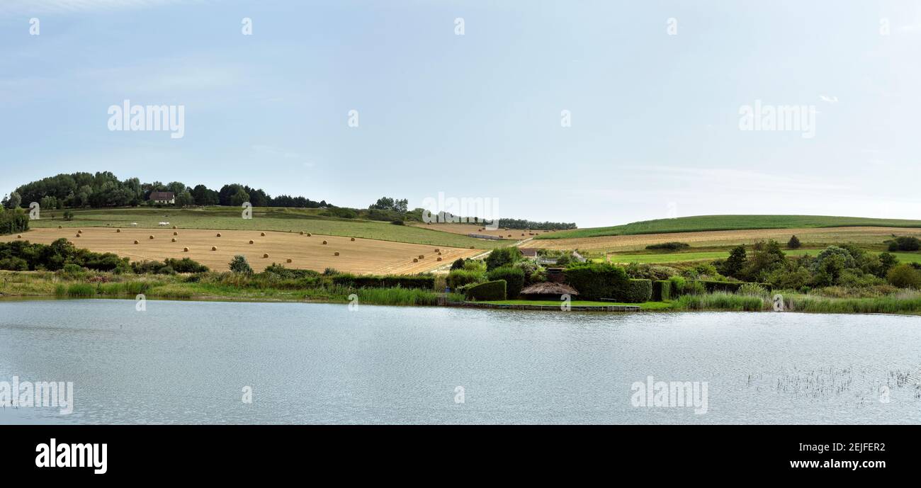 Sumpf in einem Feld, Quiberville, seine-Maritime, Haute-Normandie, Frankreich Stockfoto