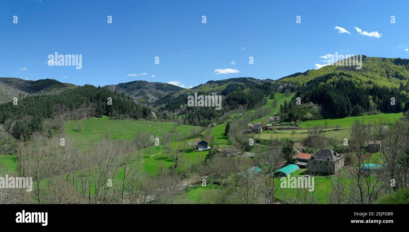 Bäume in einem Feld mit Bergkette im Hintergrund, Col De Joux Plane, Saint-Martial, Ardeche, Rhone-Alpes, Massif Central, Frankreich Stockfoto