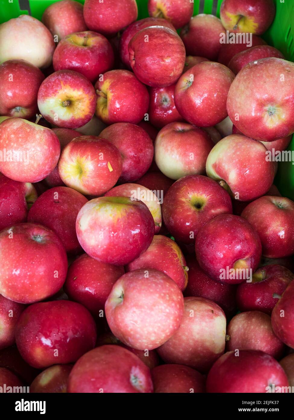 Äpfel zum Verkauf auf dem Straßenmarkt, Hawke's Bay, Hastings, North Island, Neuseeland Stockfoto