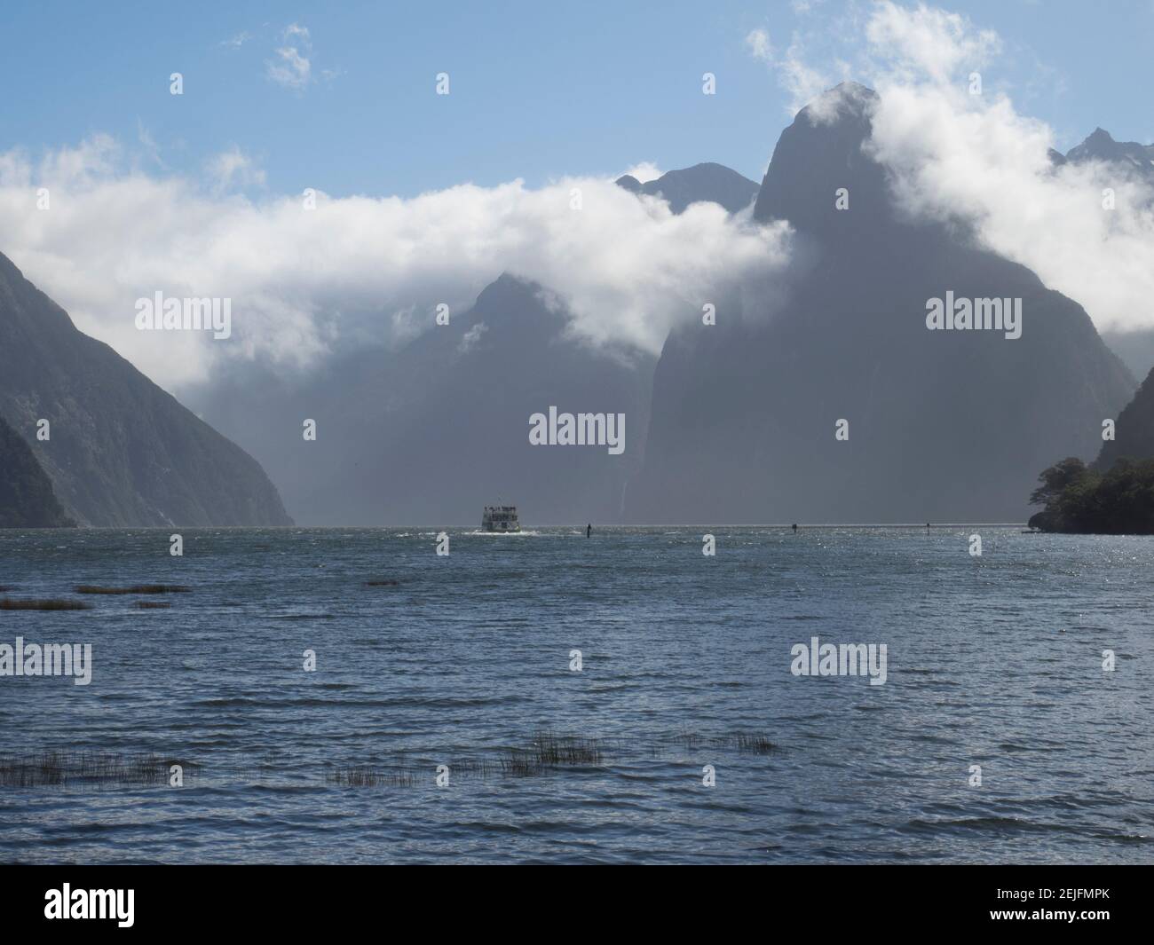 Touristen Boot im Meer, Milford Sound, Südinsel, Neuseeland Stockfoto
