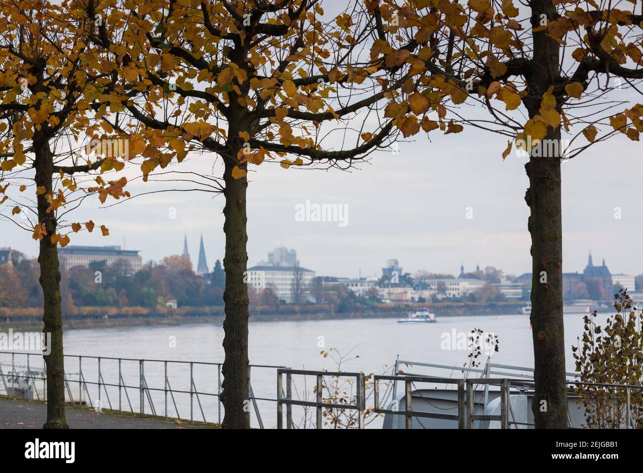 Blick auf das Rheinufer, Bonn, Nordrhein-Westfalen, Deutschland Stockfoto