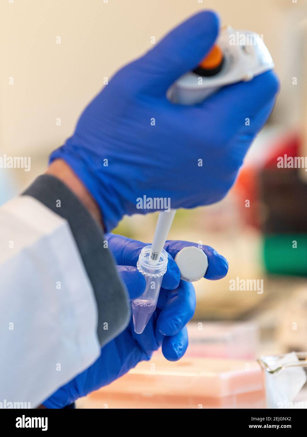 Aldatu Biosciences in Watertown, hat einen Schnelltest für COVID-19 Detektion namens PANDAA QDX™ SARS-CoV-2 entwickelt, der in Boston verwendet wird. Stockfoto