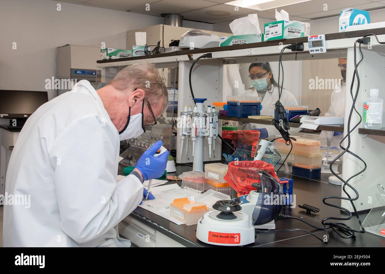 Aldatu Biosciences in Watertown, hat einen Schnelltest für COVID-19 Detektion namens PANDAA QDX™ SARS-CoV-2 entwickelt, der in Boston verwendet wird. Stockfoto