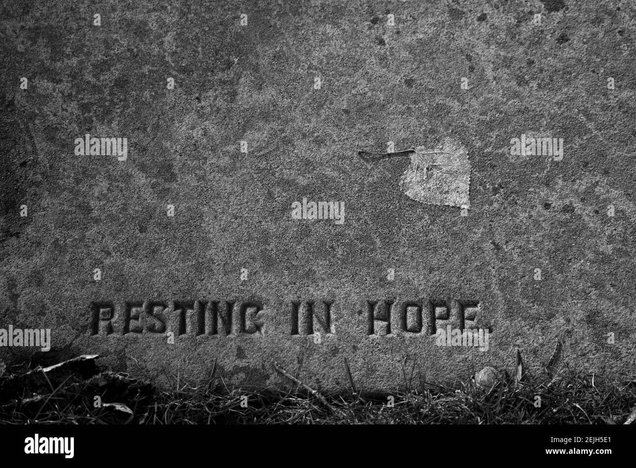 Ein einzelnes Skelettblatt auf einem alten Grabstein mit Die Worte 'Ruhe in der Hoffnung' Stockfoto