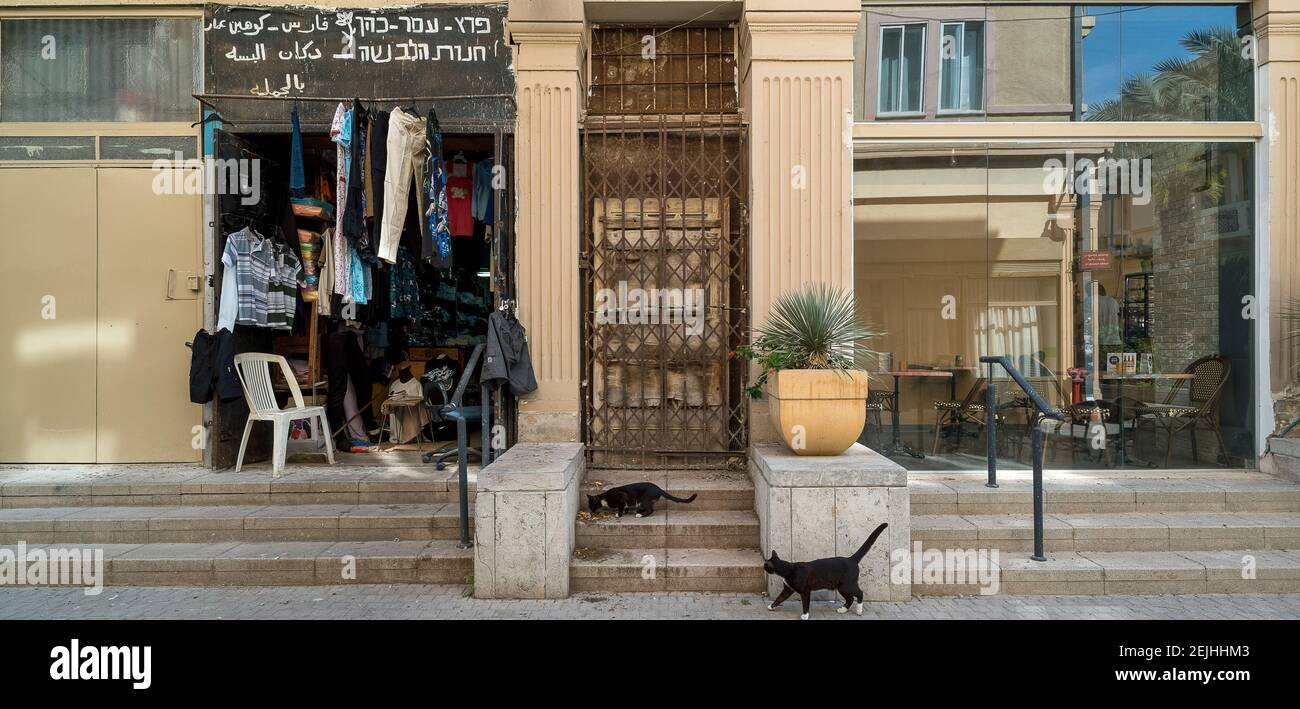 Katzen auf den Stufen eines Bekleidungsladens, Downtown Haifa, Haifa, Israel Stockfoto