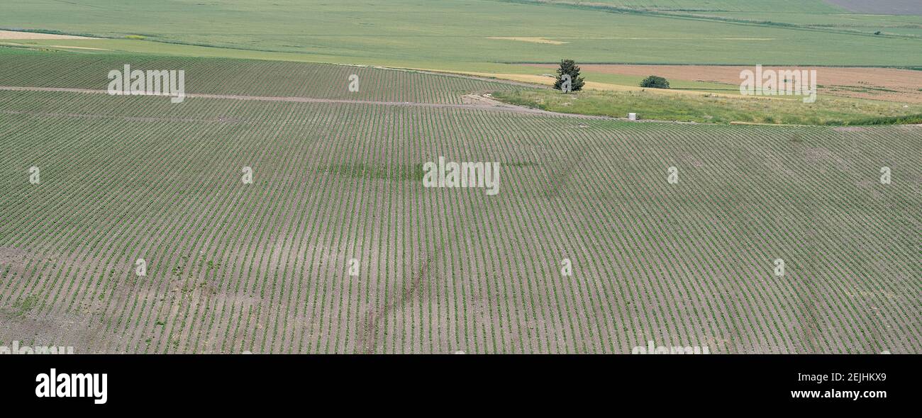 Landschaftlich reizvolle Ansicht, Galiläa, Israel Stockfoto