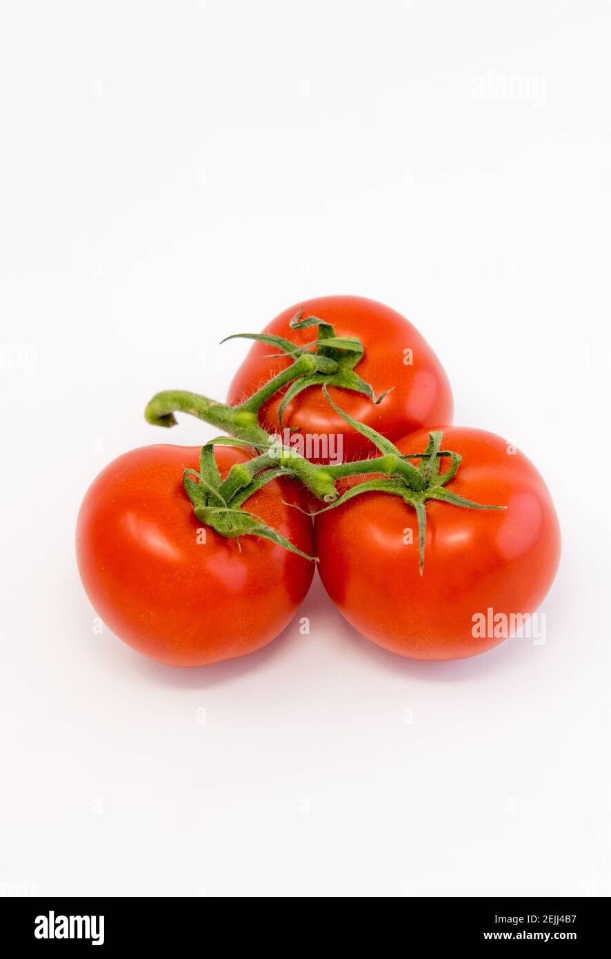 Drei frische große Weinrebe gereifte Tomaten. Stockfoto