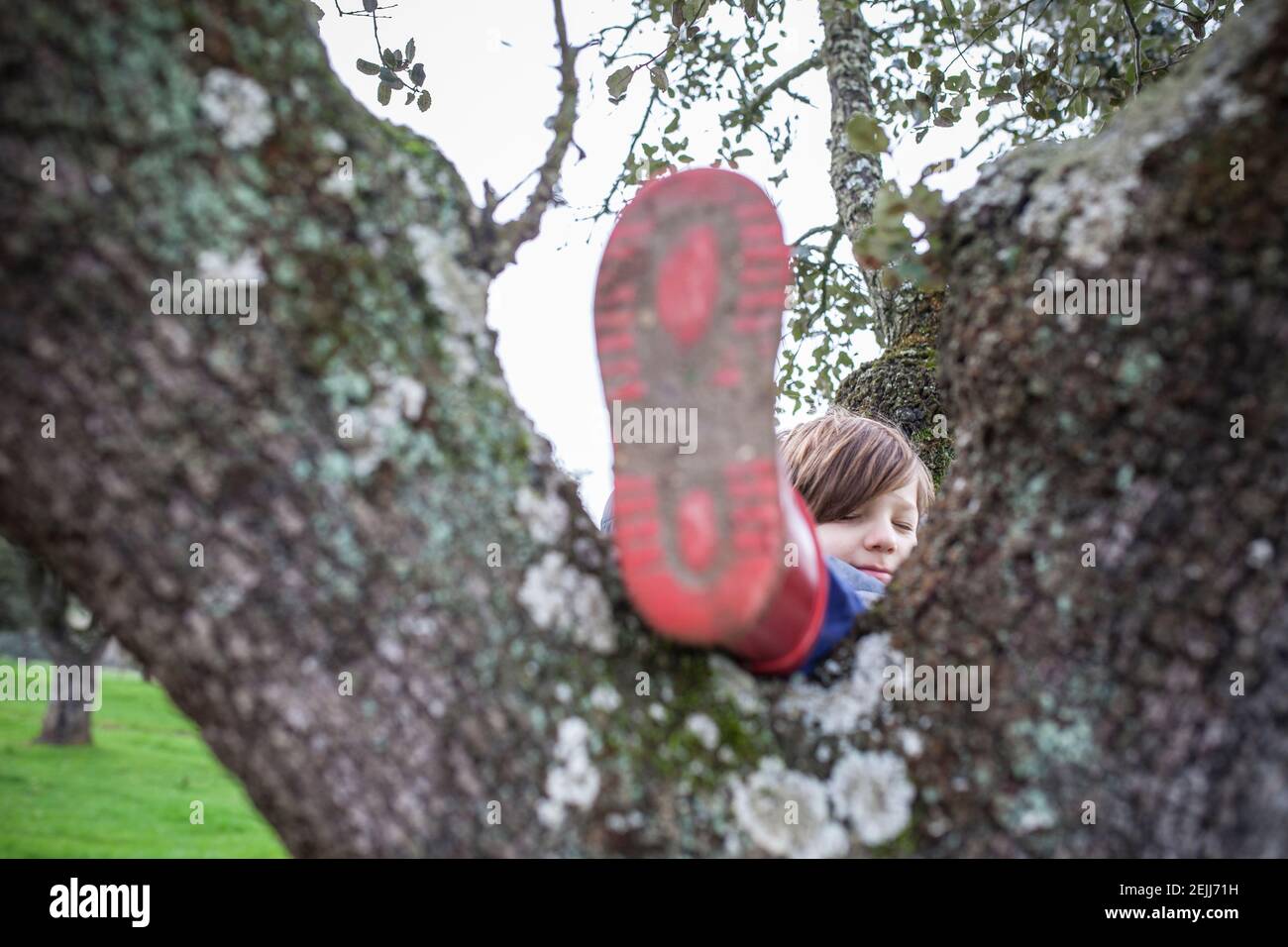 Kind Junge schlafen über Baum nach intensiver Reise in der Natur. Kinder entdecken Naturkonzept. Selektiver Fokus Stockfoto