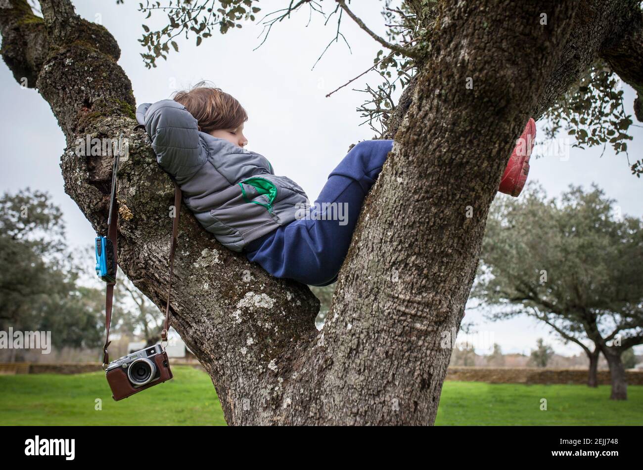 Kind Junge ruht über Baum nach dem Fotografieren in der Natur. Kinder entdecken die Natur durch die Fotografie Stockfoto