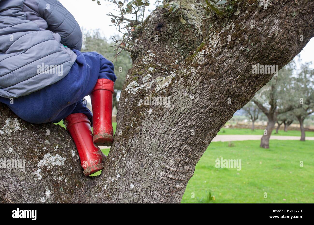 Kind Junge kletterte über Baum auf Regenstiefel. Kinder entdecken die Natur im Winter Stockfoto
