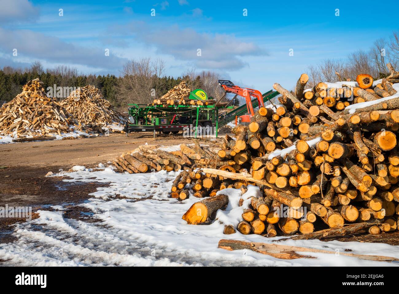 Herstellung von Brennholz für den Ludington State Park im JT's Wood Yard mit dem Woodbine Monster Brennholz Prozessor in der Nähe von Ludington, Michigan, USA. Stockfoto