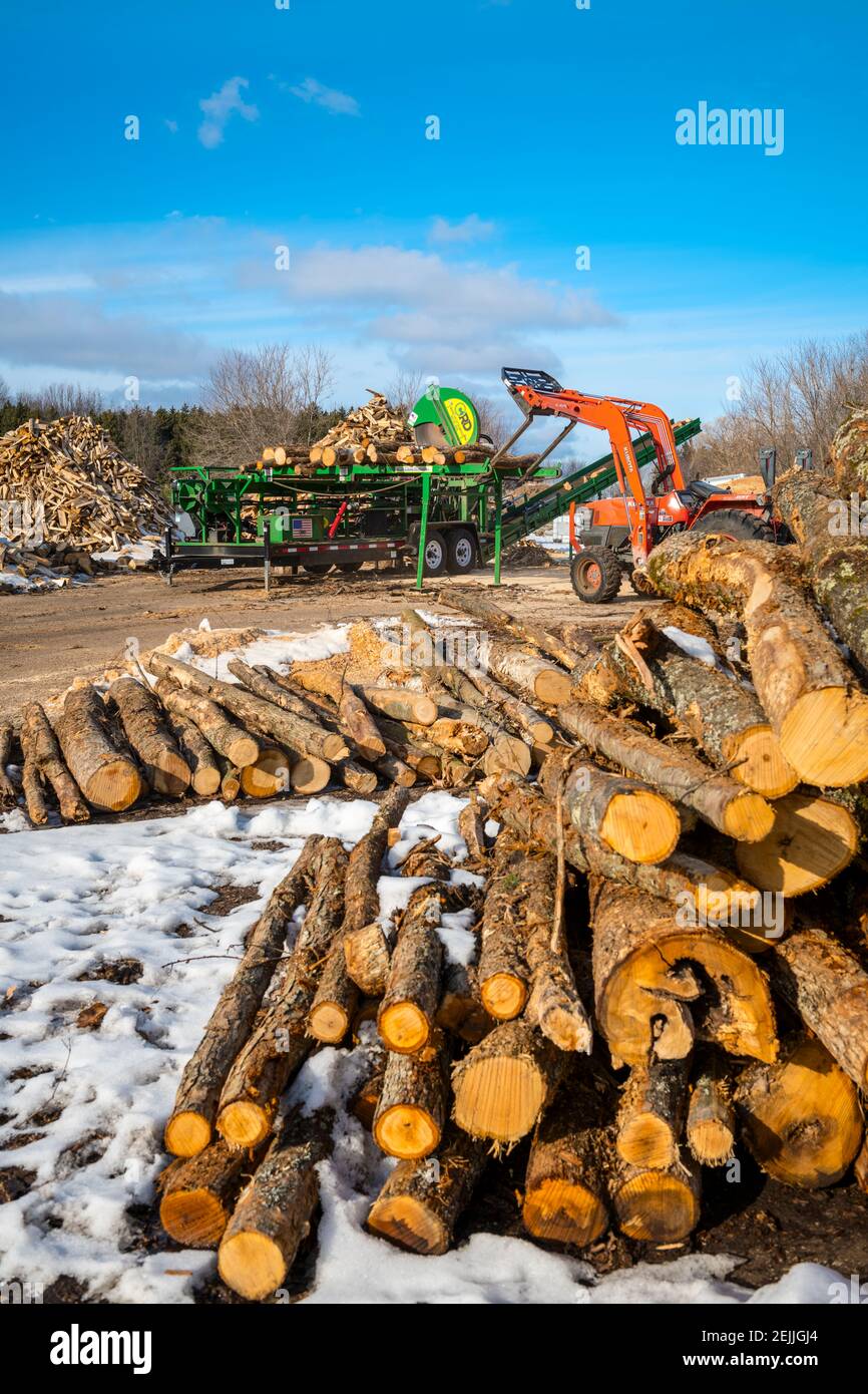 Herstellung von Brennholz für den Ludington State Park im JT's Wood Yard mit dem Woodbine Monster Brennholz Prozessor in der Nähe von Ludington, Michigan, USA. Stockfoto