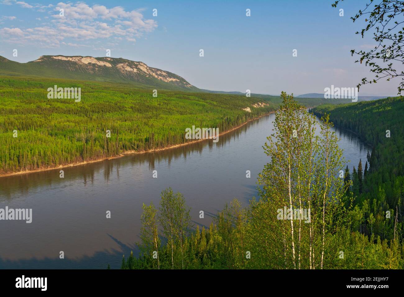Kanada, British Columbia, Alaska Highway, Liard River, ca. 60 km südlich von Watson Lake, Yukon Stockfoto