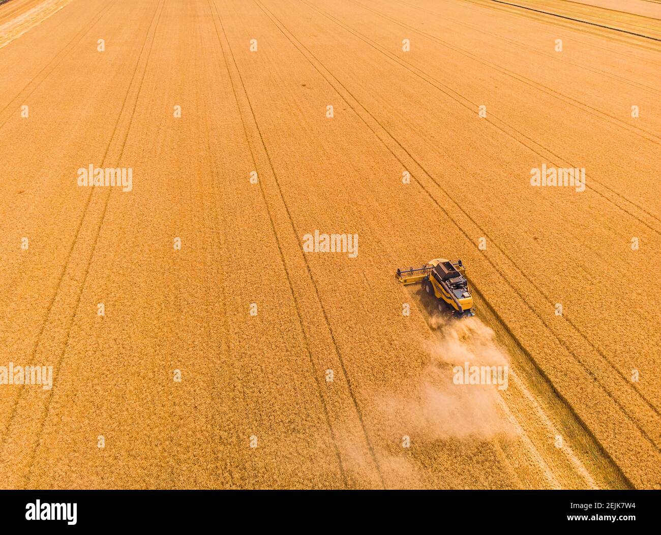 Mähdrescher auf dem Weizenfeld. Perfekte Sommer-Ansicht von fliegenden Drohne der Ernte Weizen bei Sonnenuntergang. Malerische ländliche Szene in der Ukraine, Euro Stockfoto