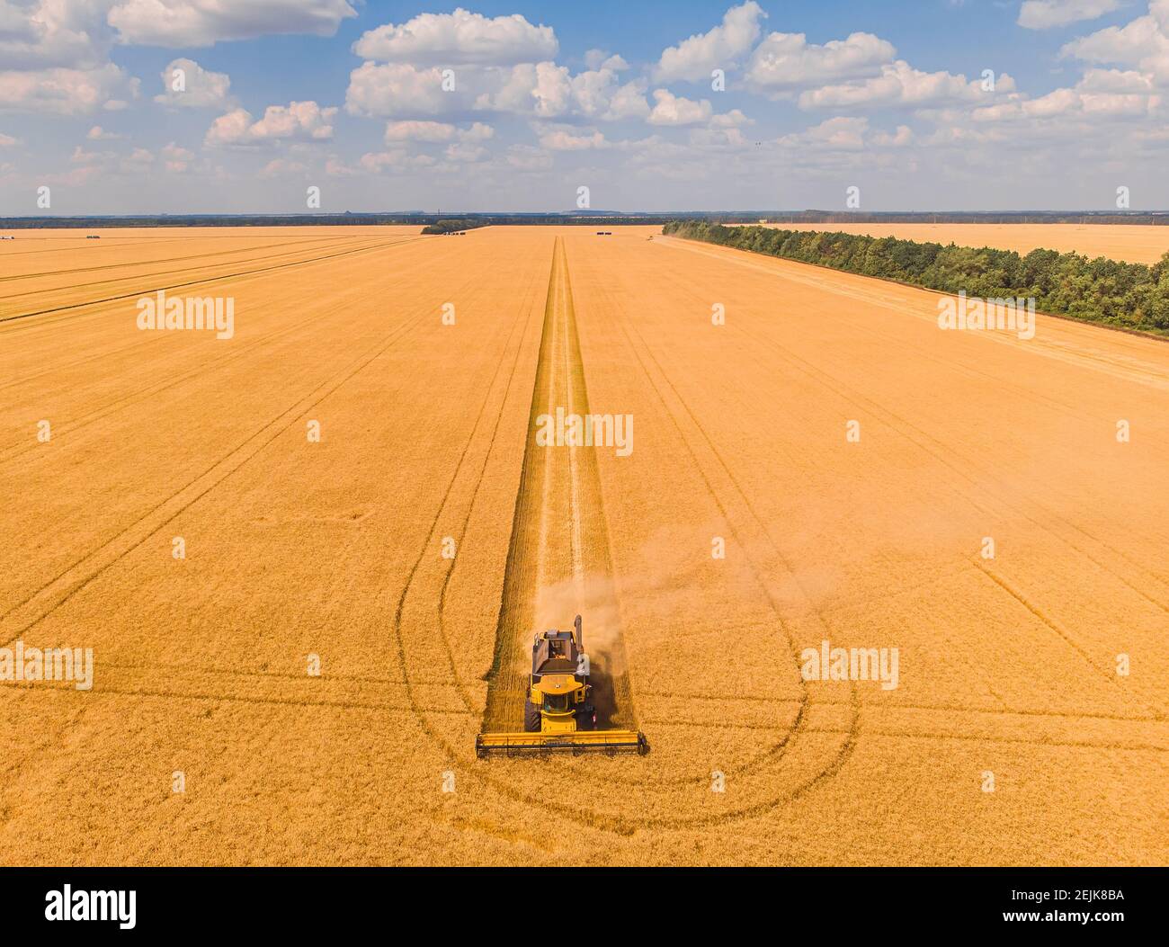 Mähdrescher auf dem Weizenfeld. Perfekte Sommer-Ansicht von fliegenden Drohne der Ernte Weizen bei Sonnenuntergang. Malerische ländliche Szene in der Ukraine, Euro Stockfoto