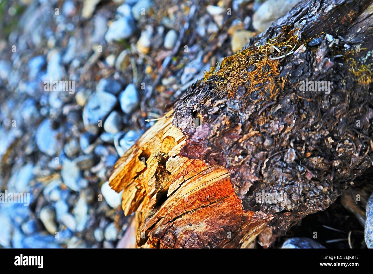 Alberta Mountain Exploration! Wunderschöne Bäche und Flüsse mit satten Farben, Schatten, Licht und Texturen. Natur vom Feinsten! In Der Nähe Von Nordegg. Stockfoto