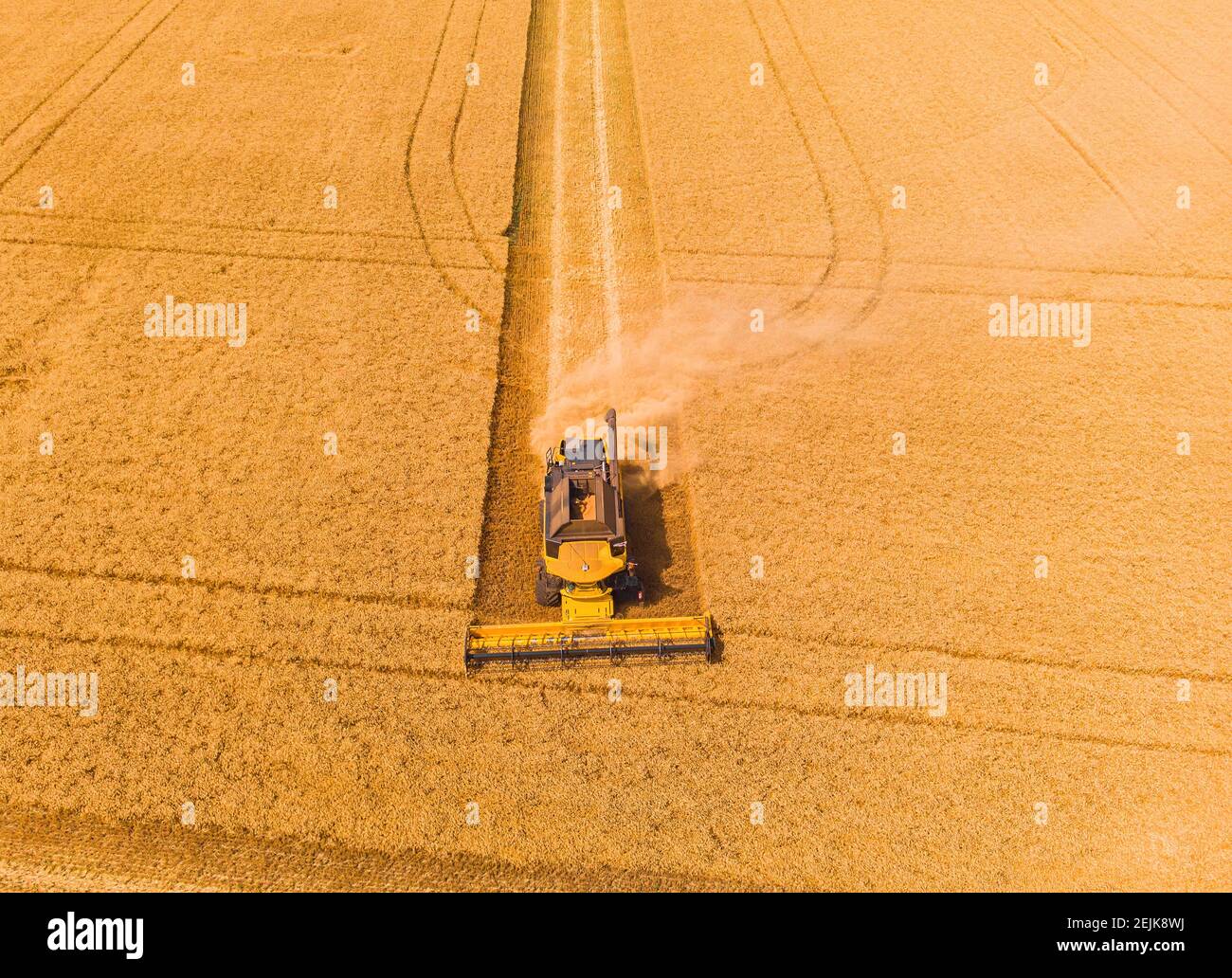 Mähdrescher auf dem Weizenfeld. Perfekte Sommer-Ansicht von fliegenden Drohne der Ernte Weizen bei Sonnenuntergang. Malerische ländliche Szene in der Ukraine, Euro Stockfoto