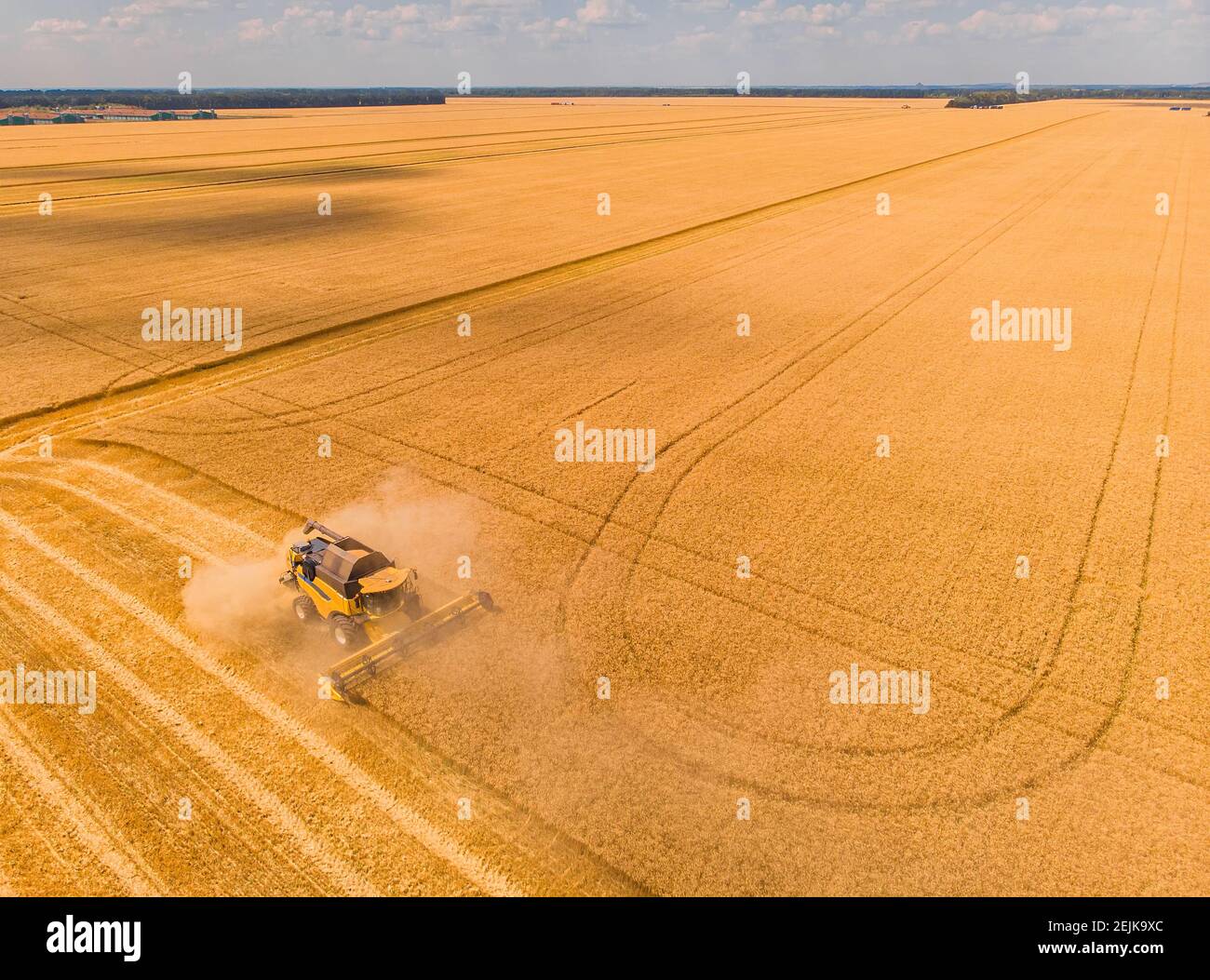 Mähdrescher auf dem Weizenfeld. Perfekte Sommer-Ansicht von fliegenden Drohne der Ernte Weizen bei Sonnenuntergang. Malerische ländliche Szene in der Ukraine, Euro Stockfoto