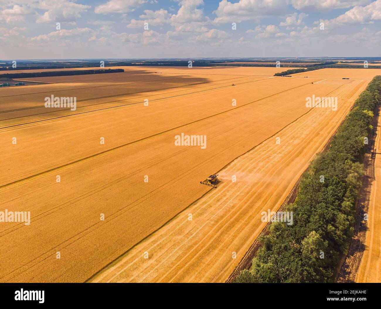 Mähdrescher auf dem Weizenfeld. Perfekte Sommer-Ansicht von fliegenden Drohne der Ernte Weizen bei Sonnenuntergang. Malerische ländliche Szene in der Ukraine, Euro Stockfoto